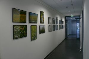 amtsgericht_05