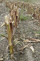 fotos_lux_03
