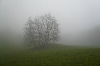 fotos_lux_05