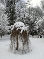 winter_lux_01