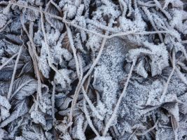 winter_lux_03