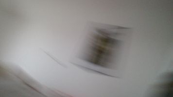 experiment_lux_04